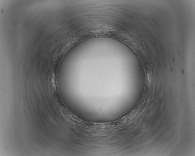 X0000080690963200612150807