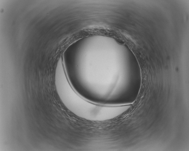 X0000080690965200612150807