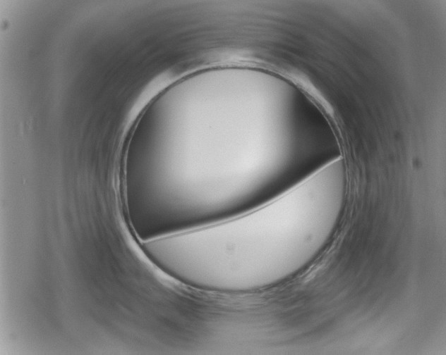 X0000080691007200612150806