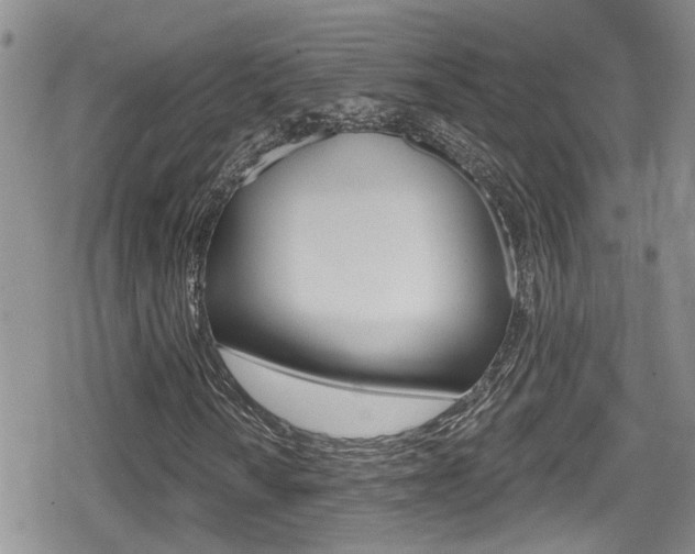 X0000080691010200612150806