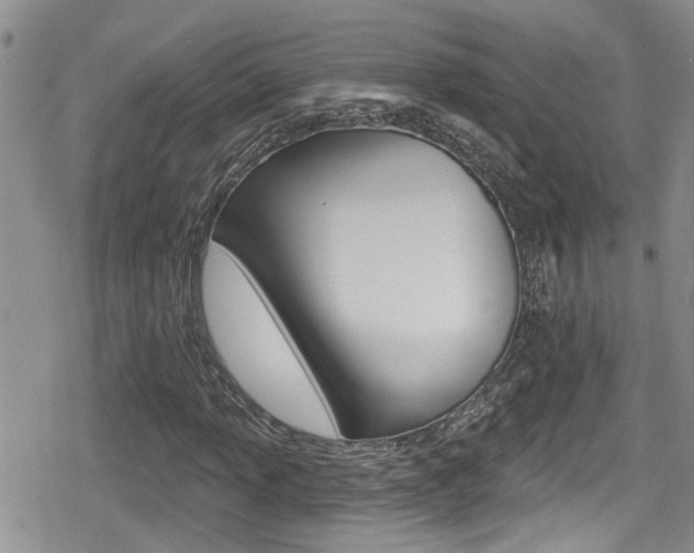 X0000080691013200612150806
