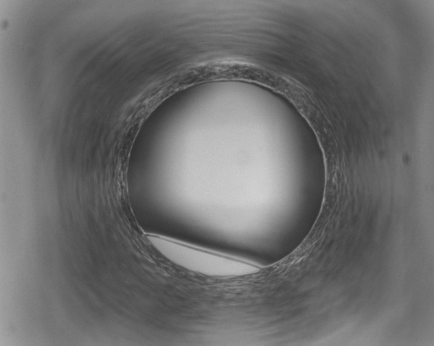 X0000080691014200612150806