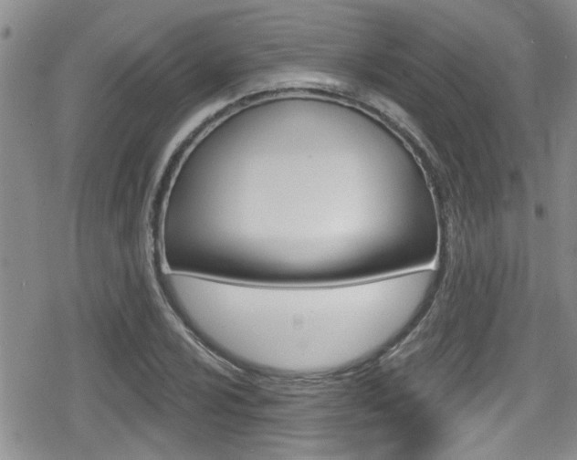 X0000080691024200612150806