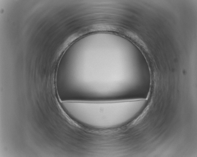 X0000080691033200612150806