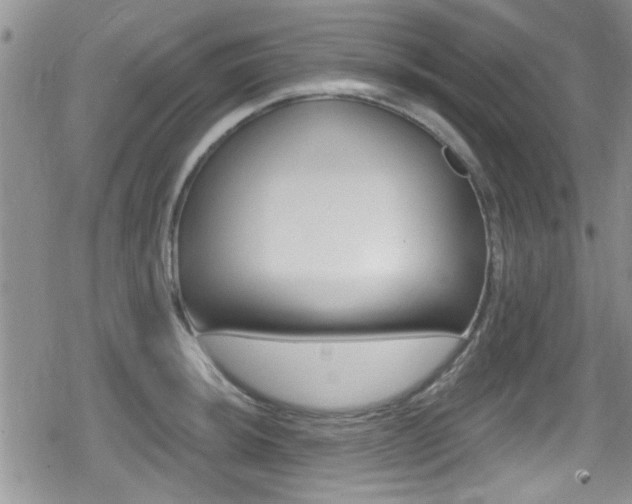 X0000080691044200612150806