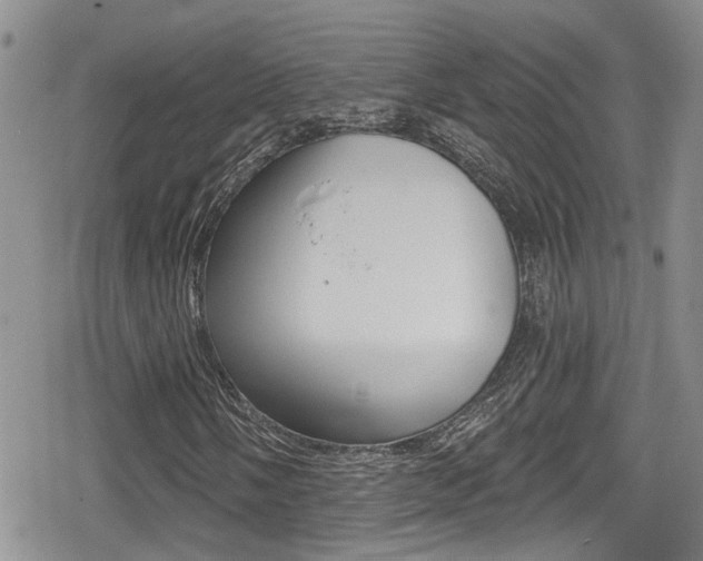 X0000080691058200612150806
