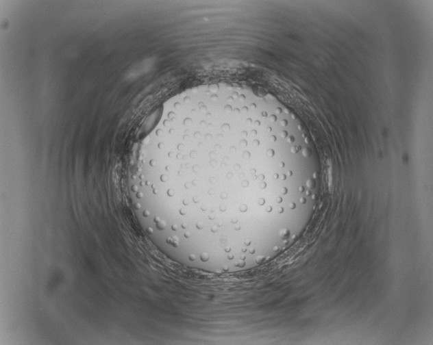 X0000080691059200612150806