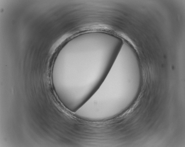 X0000080691071200612150805