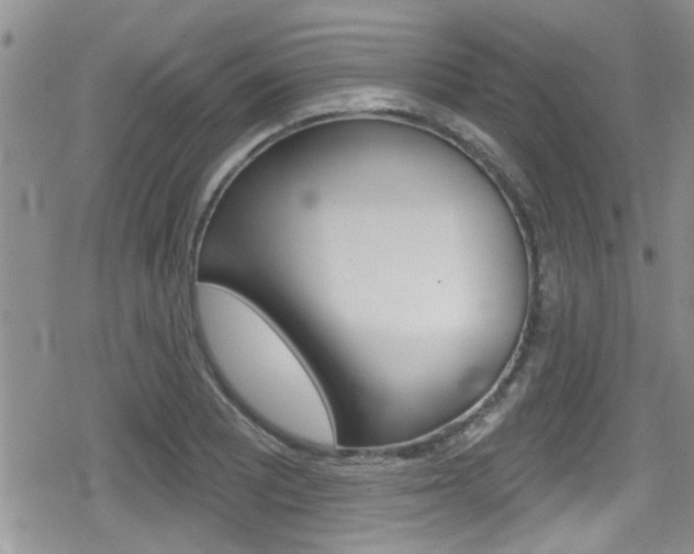 X0000080691081200612150805