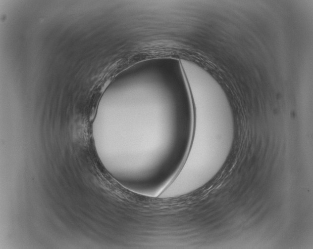 X0000080691108200612150804
