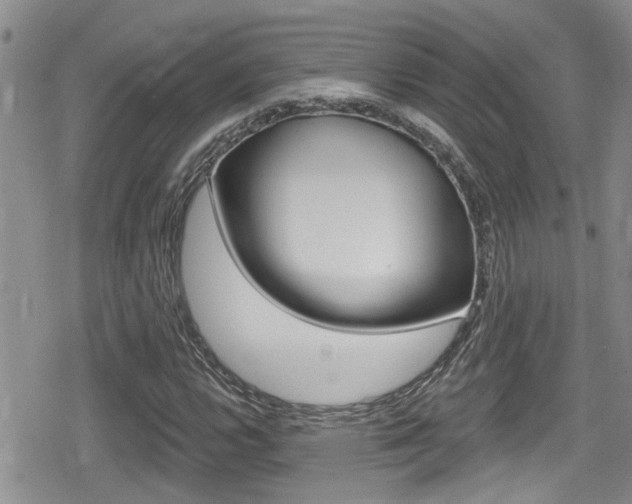 X0000080691112200612150804