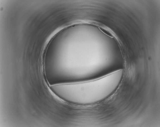 X0000080691143200612150805