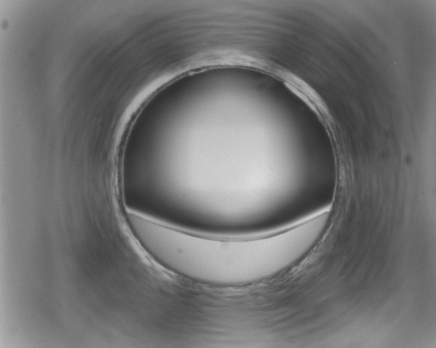 X0000080691144200612150805
