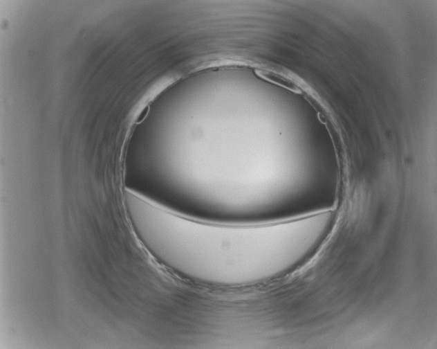 X0000080691145200612150805