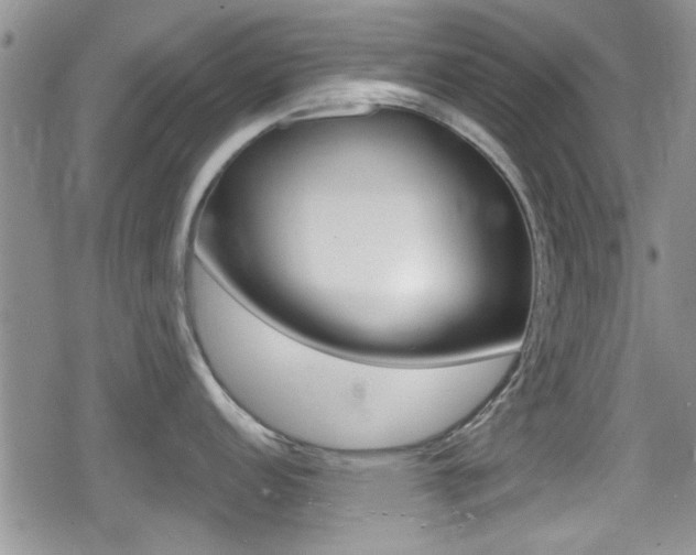 X0000080691152200612150805