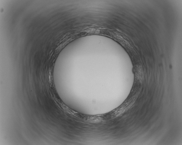 X0000080691154200612150804
