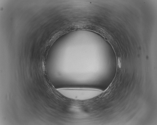X0000080691155200612150804