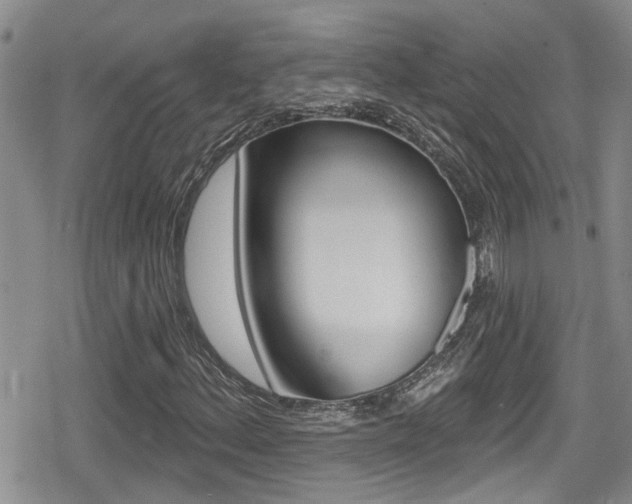 X0000080691156200612150804