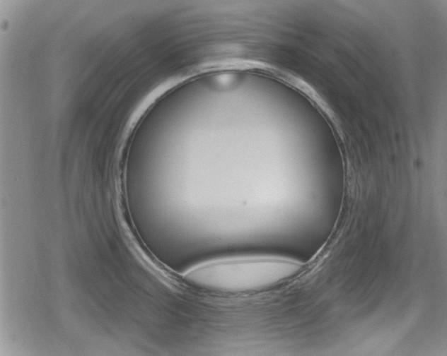X0000080691187200612150804