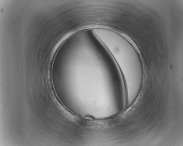 X0000080691197200612150803