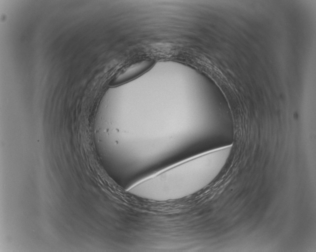X0000080691201200612150803