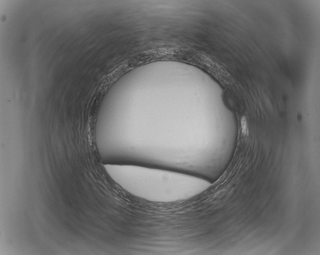 X0000080691203200612150803