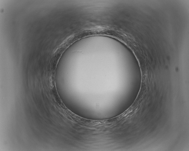 X0000080691205200612150803