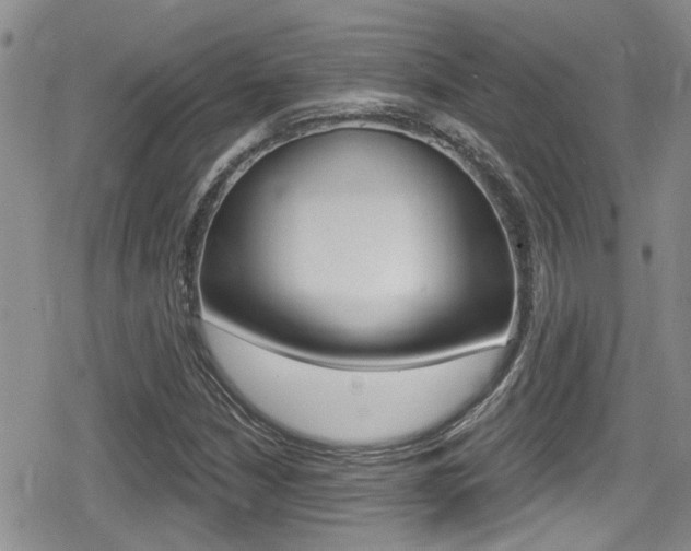 X0000080691210200612150803