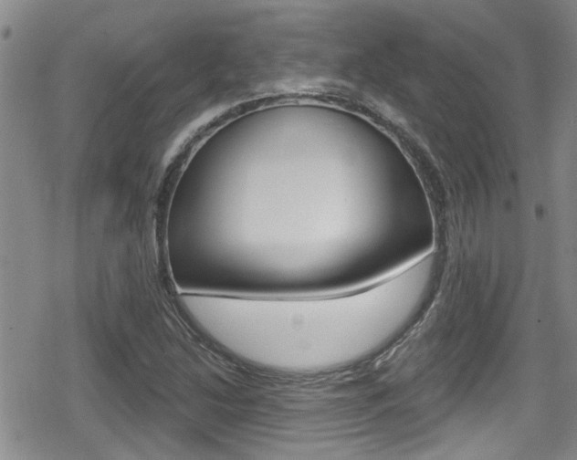 X0000080691214200612150803