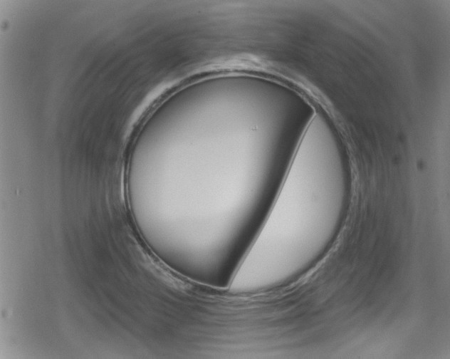X0000080691224200612150803