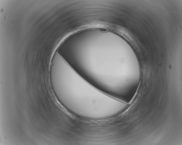X0000080691236200612150803