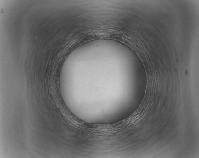 X0000080691249200612150803