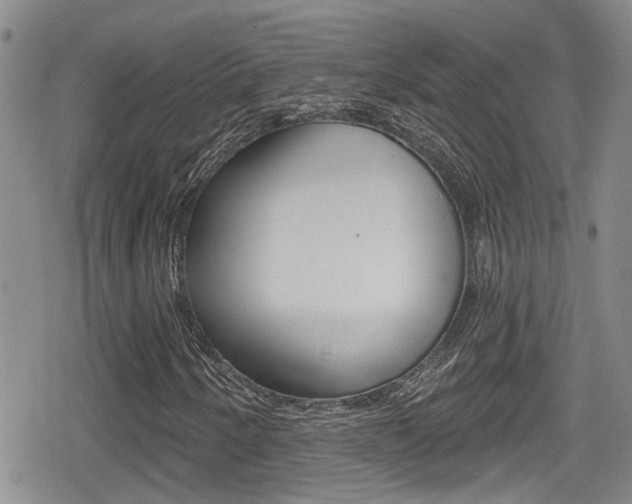 X0000080691250200612150802