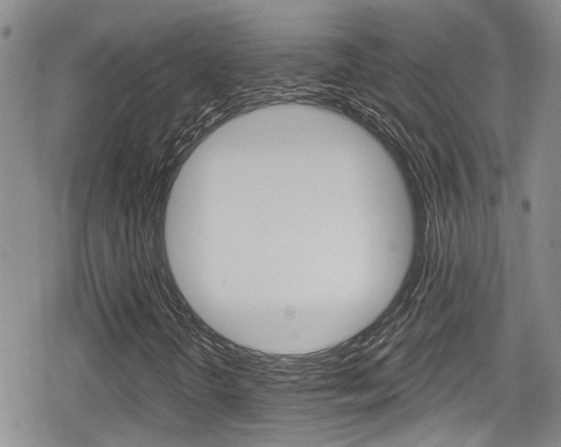 X0000080691298200612150801