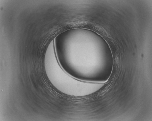X0000080691300200612150801