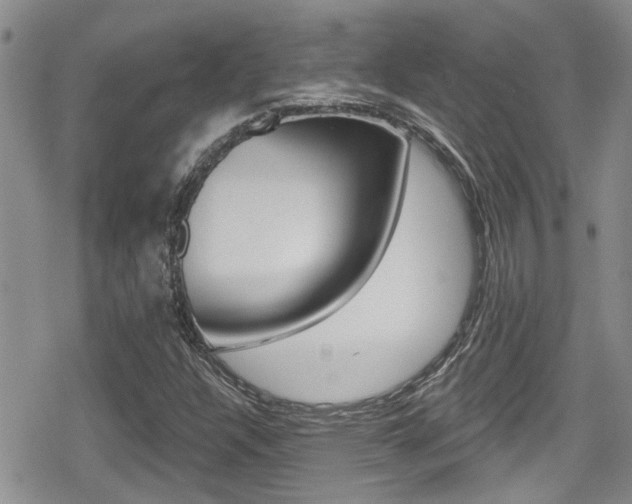 X0000080691304200612150801