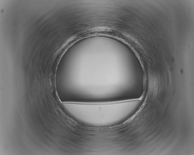 X0000080691305200612150801