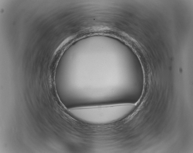 X0000080691306200612150801