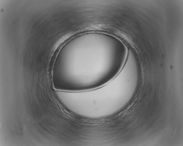 X0000080691308200612150801