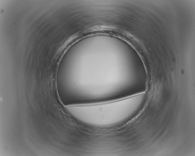 X0000080691313200612150801