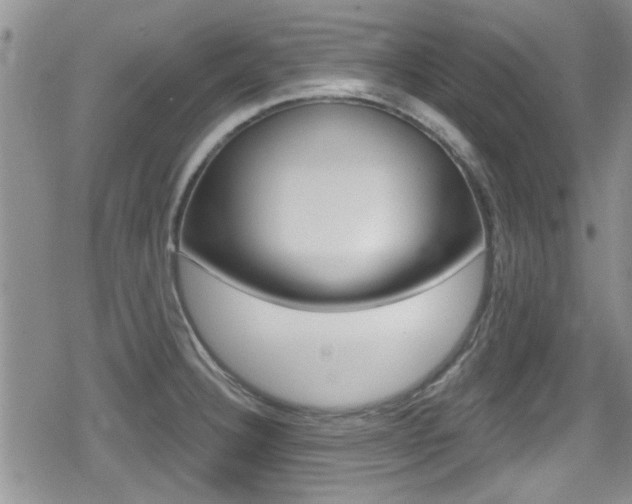 X0000080691332200612150802