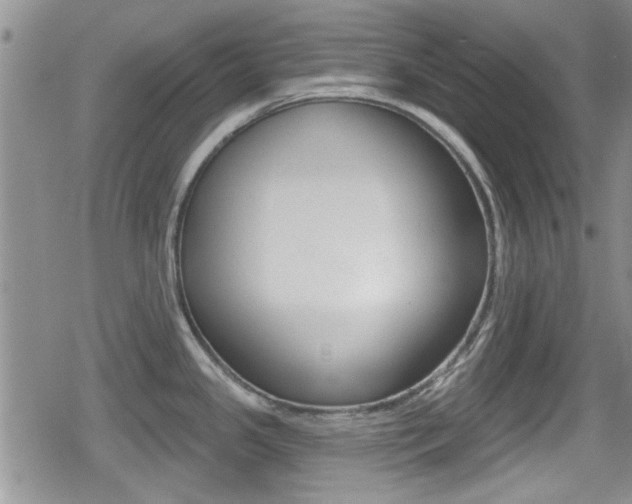 X0000080691341200612150802