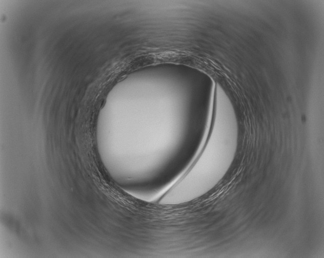 X0000080691345200612150801