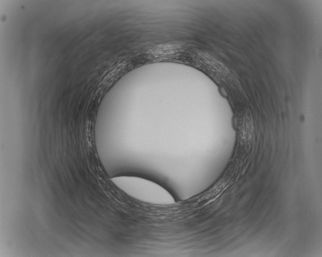 X0000080691346200612150801