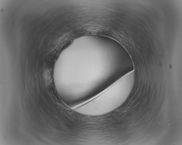 X0000080691347200612150801