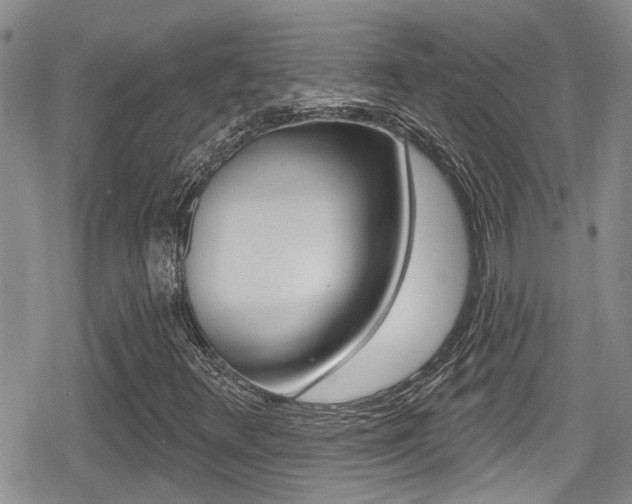X0000080691348200612150801