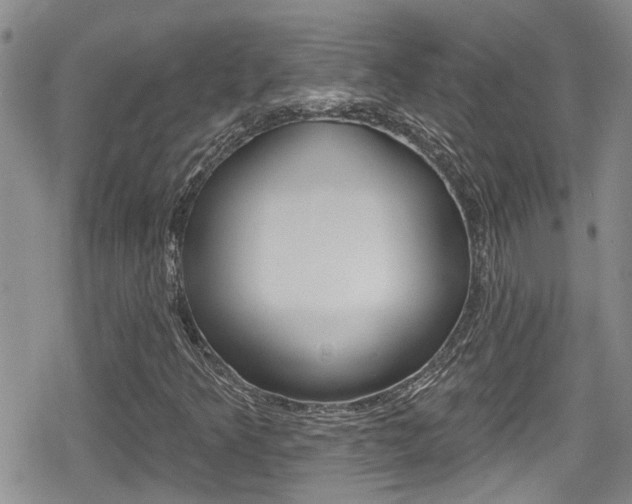 X0000080691349200612150801