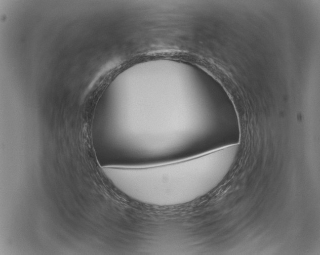X0000080691351200612150801
