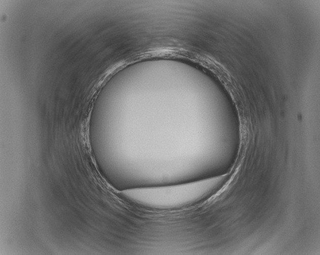 X0000080691353200612150801