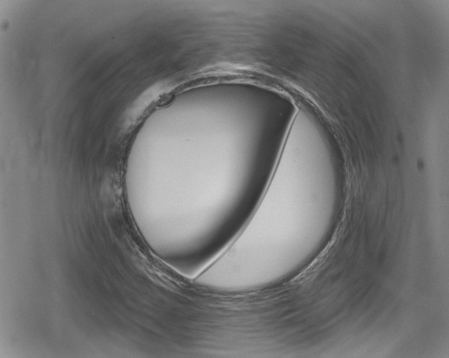 X0000080691355200612150801